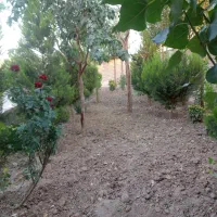 باغ ویلا ۵۰۰ متری با مبله|فروش خانه و ویلا|تنکمان, |دیوار