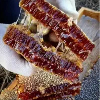 عسل طبیعی|خوردنی و آشامیدنی|نقده, |دیوار