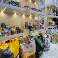 پت شاپ، غذا سگ،گربه و پرنده|لوازم جانبی حیوانات|مشهد, گلبرگ شمالی|دیوار