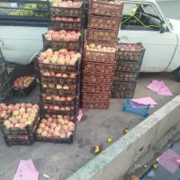 سیب استخوانی درجه 1