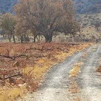 فروش زمین کره‌کان بوان|فروش زمین و ملک کلنگی|نورآباد ممسنی, |دیوار