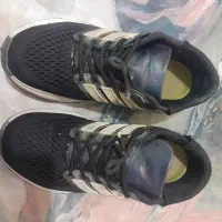 چهارعددکتانی خارجی بفروش میرسد