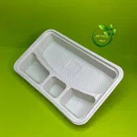 ظروف گیاهی ۱۰۰ عددی|عمدهفروشی|مشهد, کوشش|دیوار