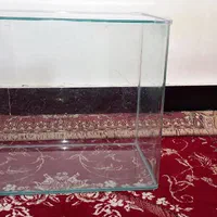 اکواریوم۱۰۰ لیتری|ماهی|دوگنبدان, |دیوار