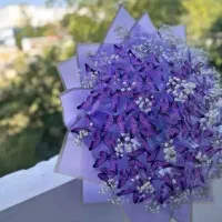 گل رز و پروانه