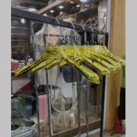 چوب لباسی اپل دار طلایی|بندرخت و رخت‌آویز|سنندج, |دیوار