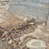 درخواست باغبان با تجربه