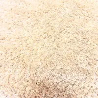 فرش فولیکات پرز بلند ترک|فرش|مشهد, امیر|دیوار