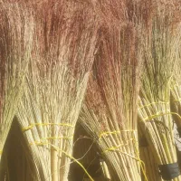 جارو اماده رسیده|لوازم نظافت|رومشکان, |دیوار