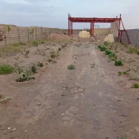 27قصب-زمین-در-روستای-کران-فروشی