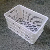 سبد میوه قیمت کارخانه|ظروف نگهدارنده، پلاستیکی، یک‌بارمصرف|قائم‌شهر, |دیوار