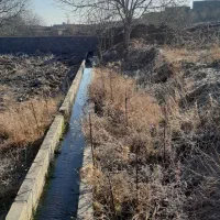 سهره کرمانی جرقه|پرنده|مشهد, شهید معقول|دیوار