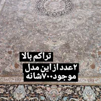 ۳عدد فرش پاتریس|فرش|زابل, |دیوار