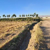 زمین زراعی آبی|فروش دفتر صنعتی، کشاورزی، تجاری|بشاریات, |دیوار