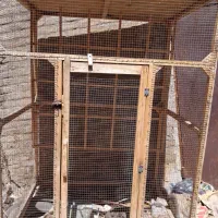 قفس بزرگ با چوب بند برای کفتر