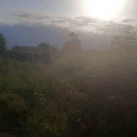 قطعه زمین ۵۵ متری کوچه دلسوزی