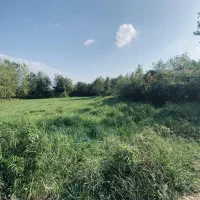 زمین باغی بازکیاگوراب ایشکا|فروش زمین و ملک کلنگی|لاهیجان, بازکیاگوراب|دیوار