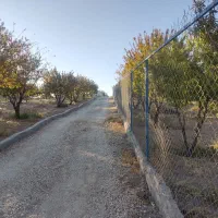 باغ فنس کشی شده