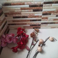 انواع گل ارکیده و چوبی
