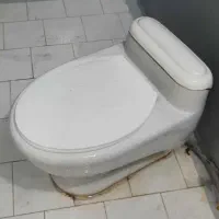 توالت فرنگی