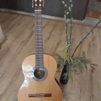 گیتار آلمانزا 402 Abeto
