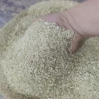 برنج چمپه|خوردنی و آشامیدنی|شیراز, میانرود|دیوار