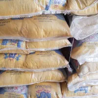 برنج پاکستانی دیپلمات|خوردنی و آشامیدنی|قم, باغ شریفی|دیوار