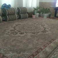 اجاره منزل طبقه دوم  مستقل کیان آباد موعود|اجارهٔ آپارتمان|شیراز, کیان آباد|دیوار