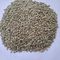 فروش عدس محلی سرحد خوش پخت