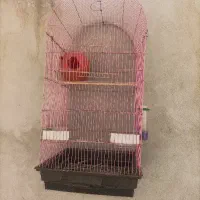 یک قفس بزرگ  دو کوچکتر