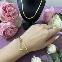 بدلیجات|بدلیجات|لنگرود, |دیوار