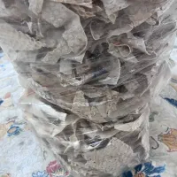 فروش نون خشک