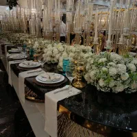 باغ تالار حجاج/ولیمه/ختم/قیمت استثنایی|خدمات پذیرایی، مراسم|فردیس, شهرک صنعتی سیمین دشت|دیوار