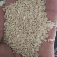 برنج عنبر بو درجه یک