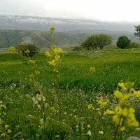 موقعیت مناسب برای سرمایه گذاری