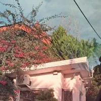 زمین علمده شرقی