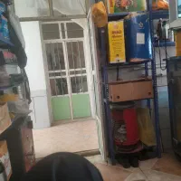 فروش۲۰۰ کیلو فضله کبوتر