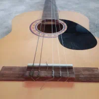 گیتار metapor  به همراه کیف