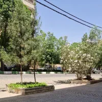 ویلایی-170مترزمین-دو-طبقه-280متربنا-شمالی-بازسازی