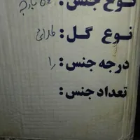 چینی اصل مرجان نو واکبند 54 پارچه|ظروف سرو و پذیرایی|تهران, دیلمان|دیوار