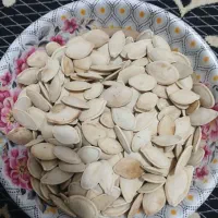 فروش تخم کدو درجه یک