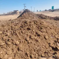 بارگوسفندی