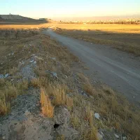 زمین باغی معاوظع هم دارم