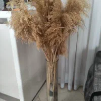 گل وگلدون|گل مصنوعی|اراک, |دیوار