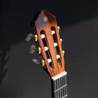 c70|گیتار، بیس، امپلیفایر|زنجان, |دیوار