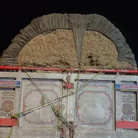 کاه نیشکر|لوازم جانبی حیوانات|معصومیه, |دیوار