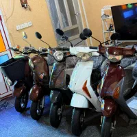 پاکشتی درحد خشک ژاپنی