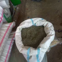 هولدر یا قره کره