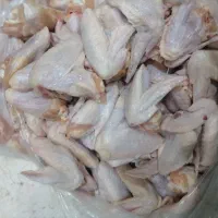 کتف بال تازشمال قیمت عمده ۱۵۷|خوردنی و آشامیدنی|قم, شهرک فاطمیه|دیوار