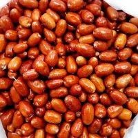 سنجد درباری و قزل